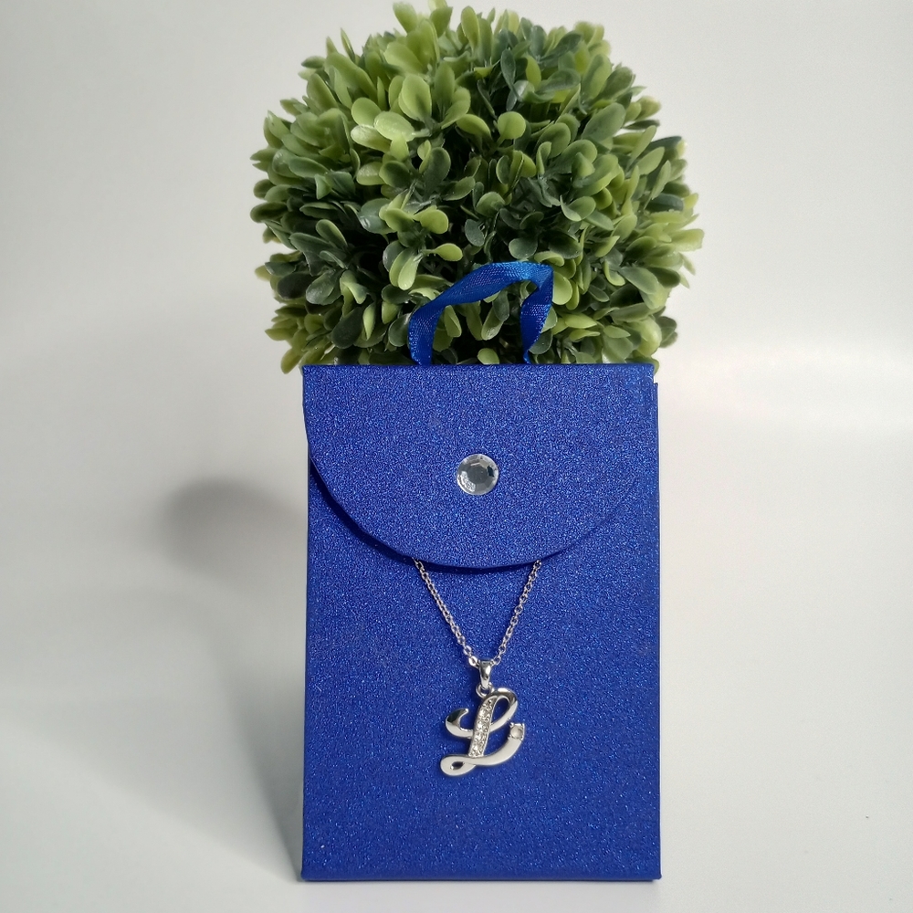 Women's Silver Necklace Pleated
